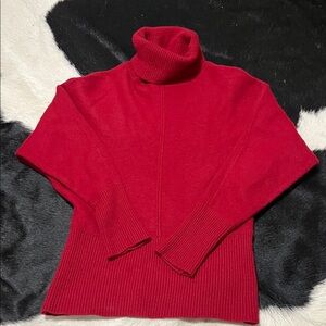 Ann Taylor Turtleneck Sweater